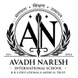 Avadh Naresh International School logo